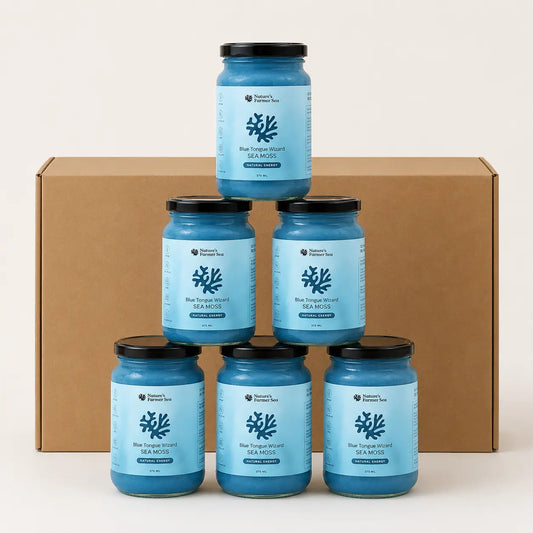 Blue Tongue Wizard 375ml Jar - Pack of 6