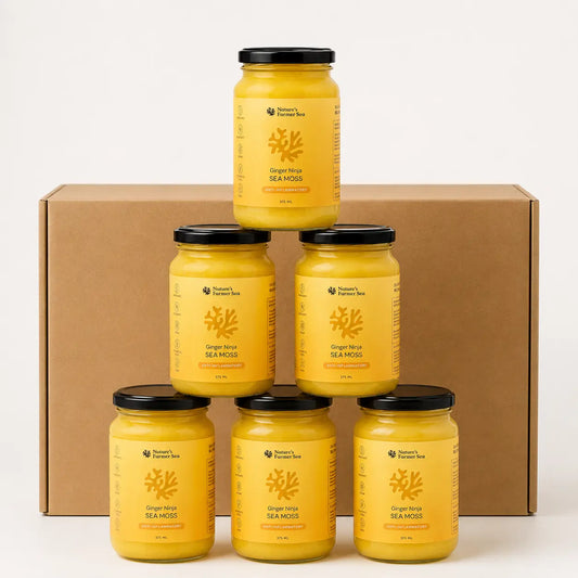 Ginger Ninja 375ml Jar - Pack of 6